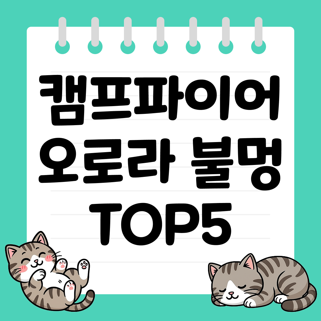 감성 캠핑의 완성, 캠프파이어 오로라 불멍 TOP5