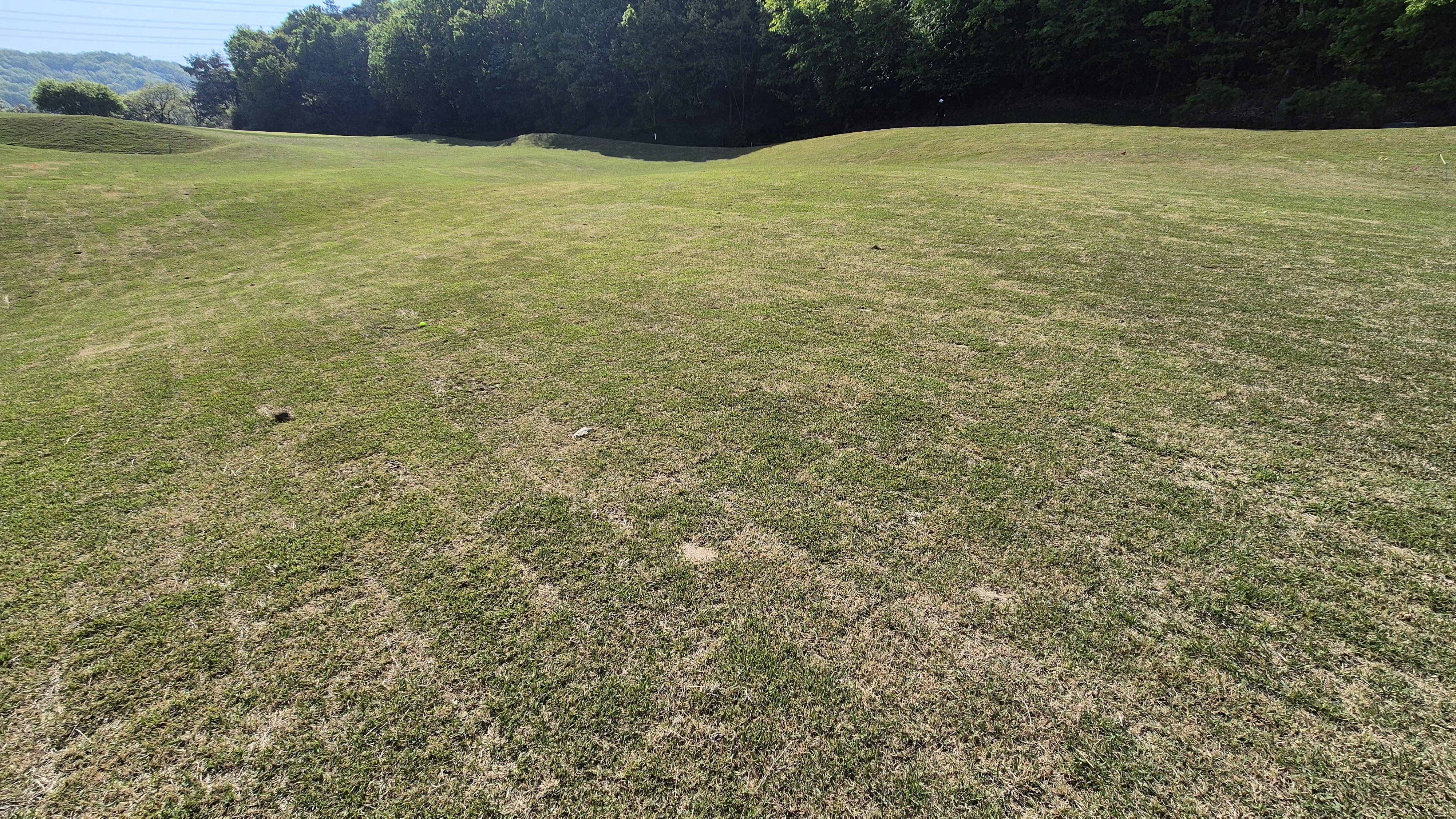 마에스트로cc 라운드 후기