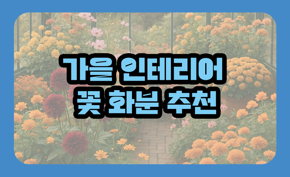 가을 인테리어 꽃 화분 추천