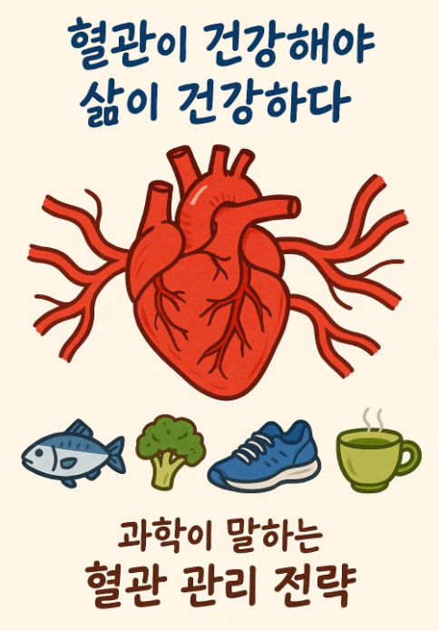 과학이 말하는 혈관 관리 전략