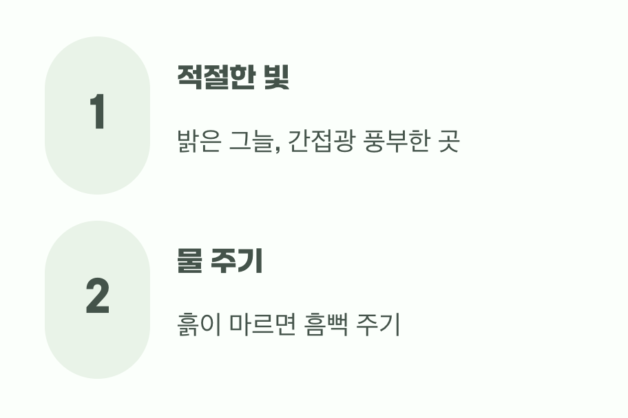 넷째, 빛과 물, 기본기를 튼튼하게