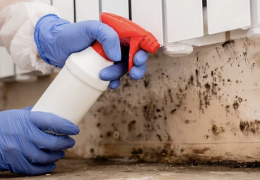 곰팡이 제거 방법: 베이킹소다 활용