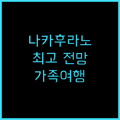베스트 뷰 숙박 후기! 나카후라노 최..