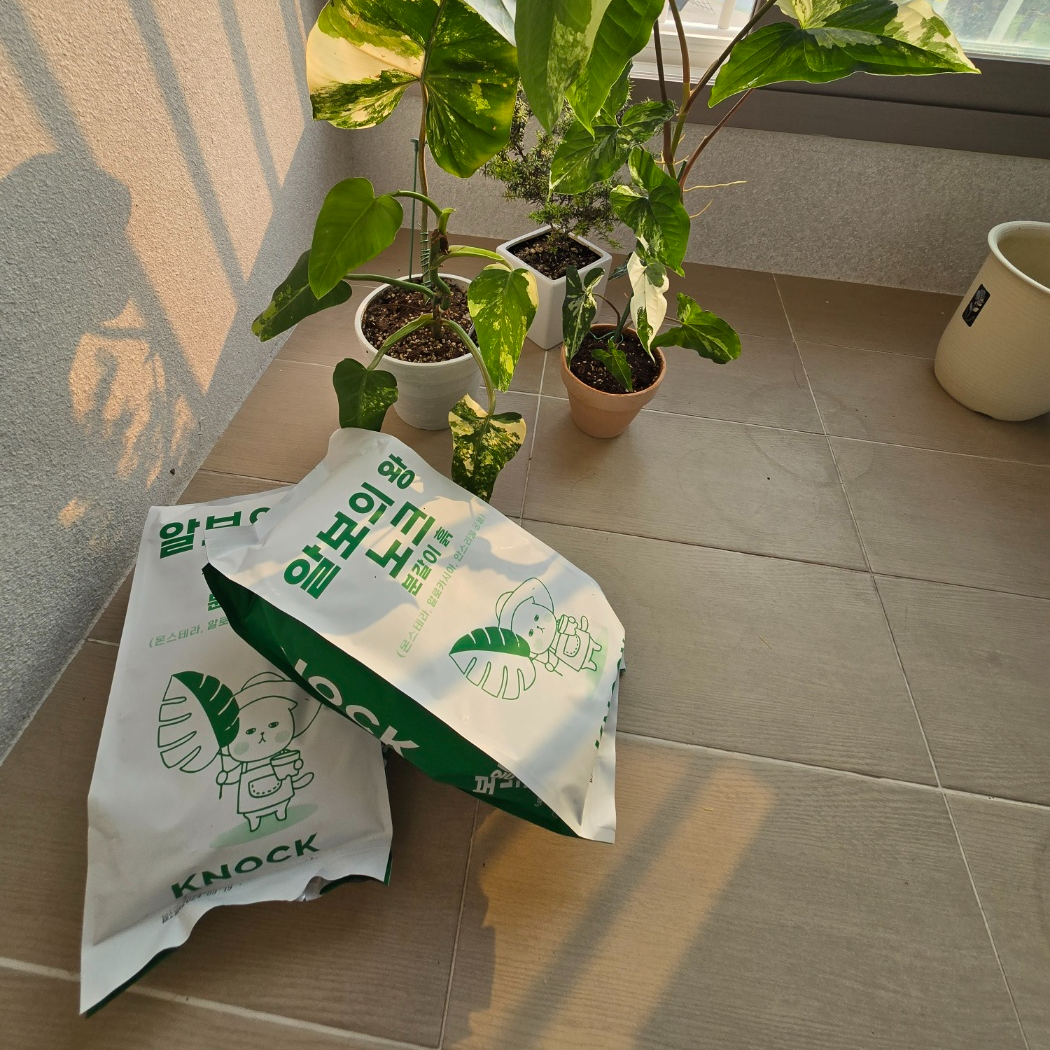 알보의왕 흙구매