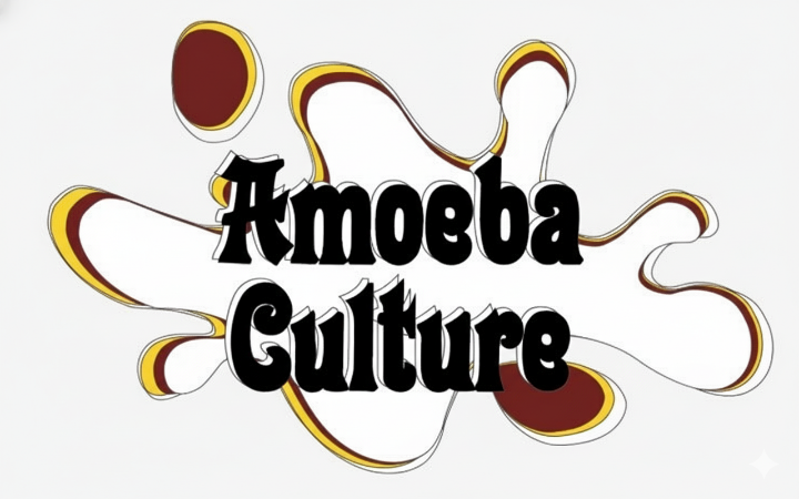 다이나믹 듀오의 아메바컬쳐 로고