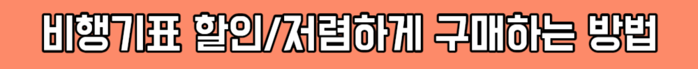 [해외여행 꿀팁] 비행기표 할인받기, 저렴하게 비행기표 예매하는 방법