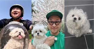 나혼자산다 구성환 꽃분이 애견 펫 드라이기 추천템