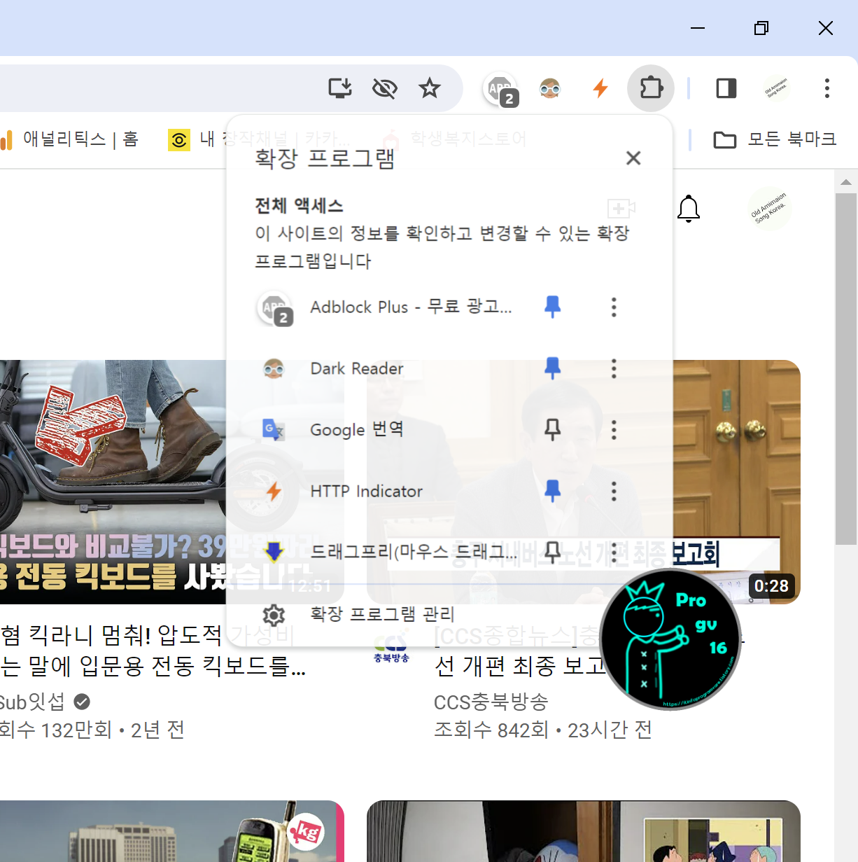 확장프로그램_옵션