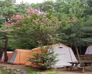 서울대공원 캠핑장_4