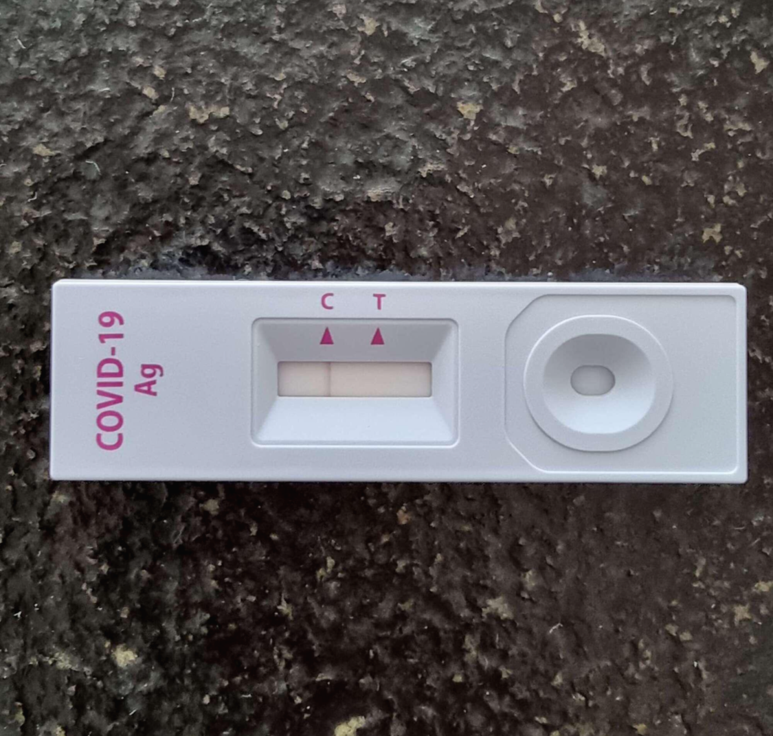 코로나 자가검사키트