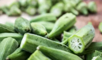 오크라 효능 재배법 손질 수확 요리 보관까지 한눈에 보기_20