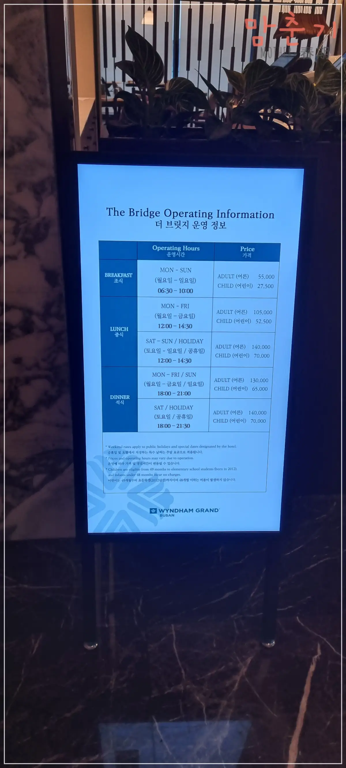 더브릿지-운영정보