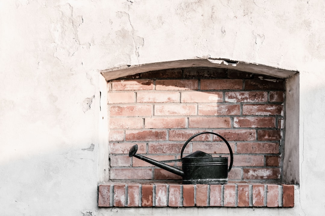 Niche