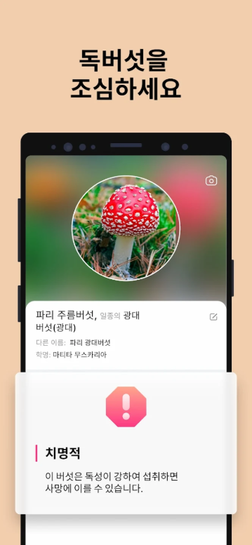 버섯 식별하기 앱, 버섯 사진을 찍어 버섯이름 찾기 어플