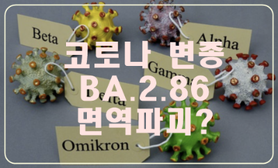 코로나-변종-BA.2.86-돌연변이