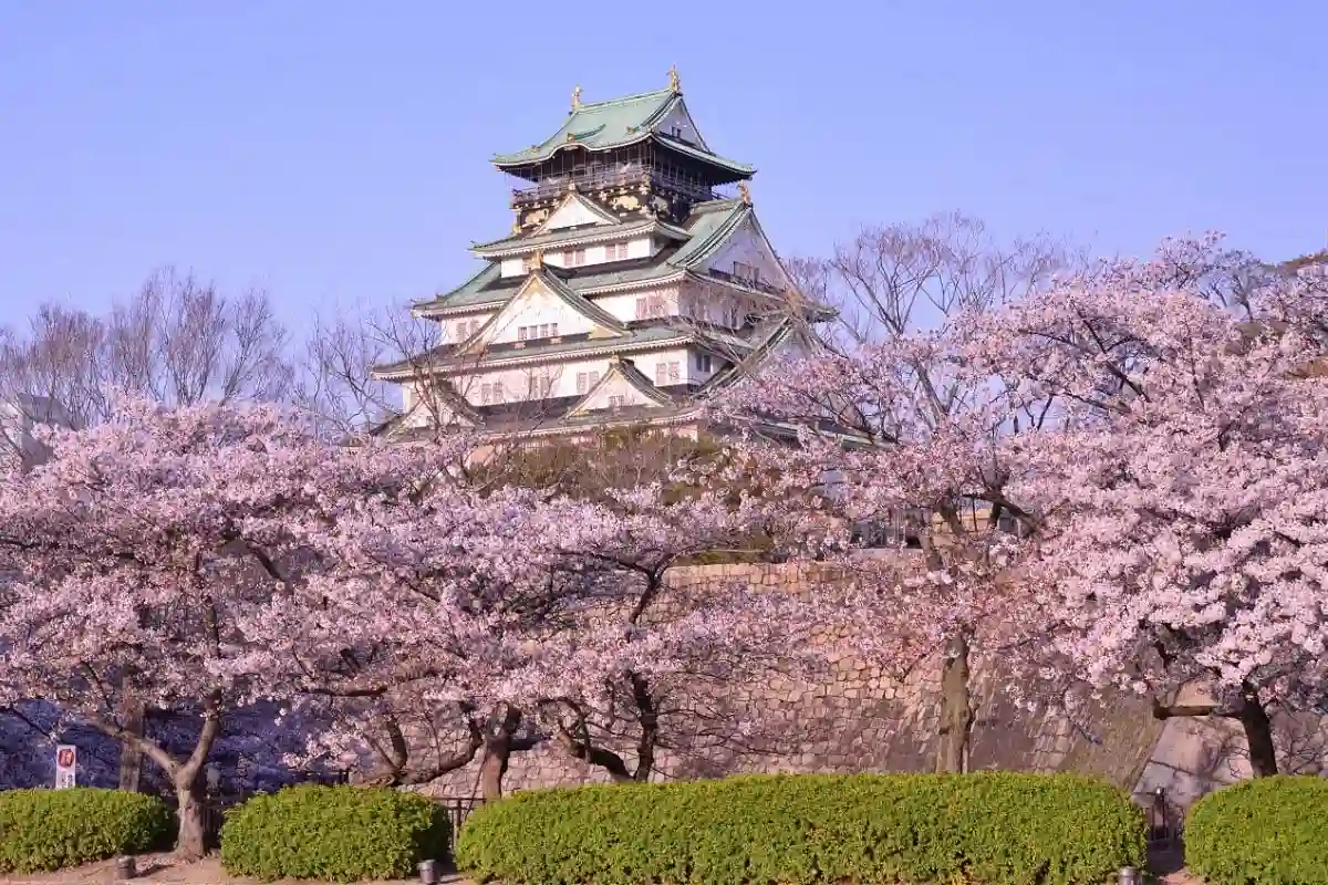 오사카성 공원 (大阪城公園)