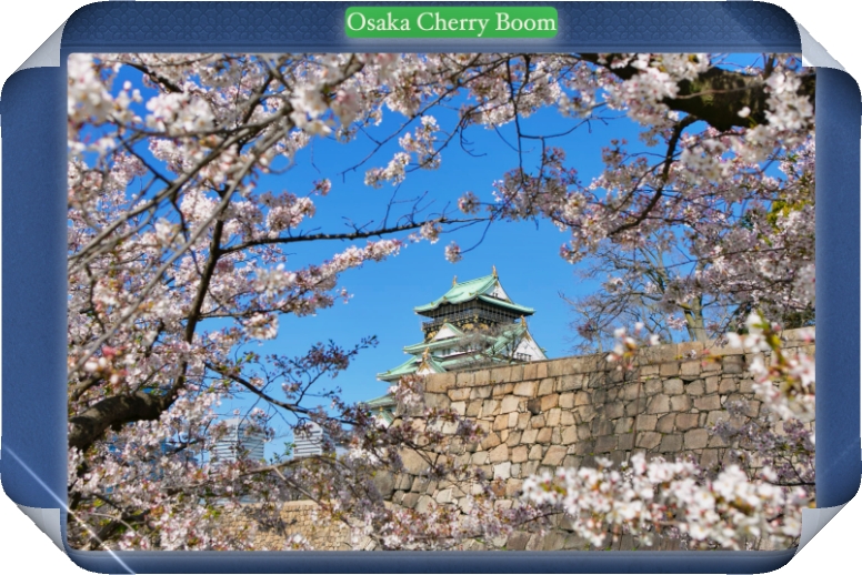 오사카 벚꽃 명소