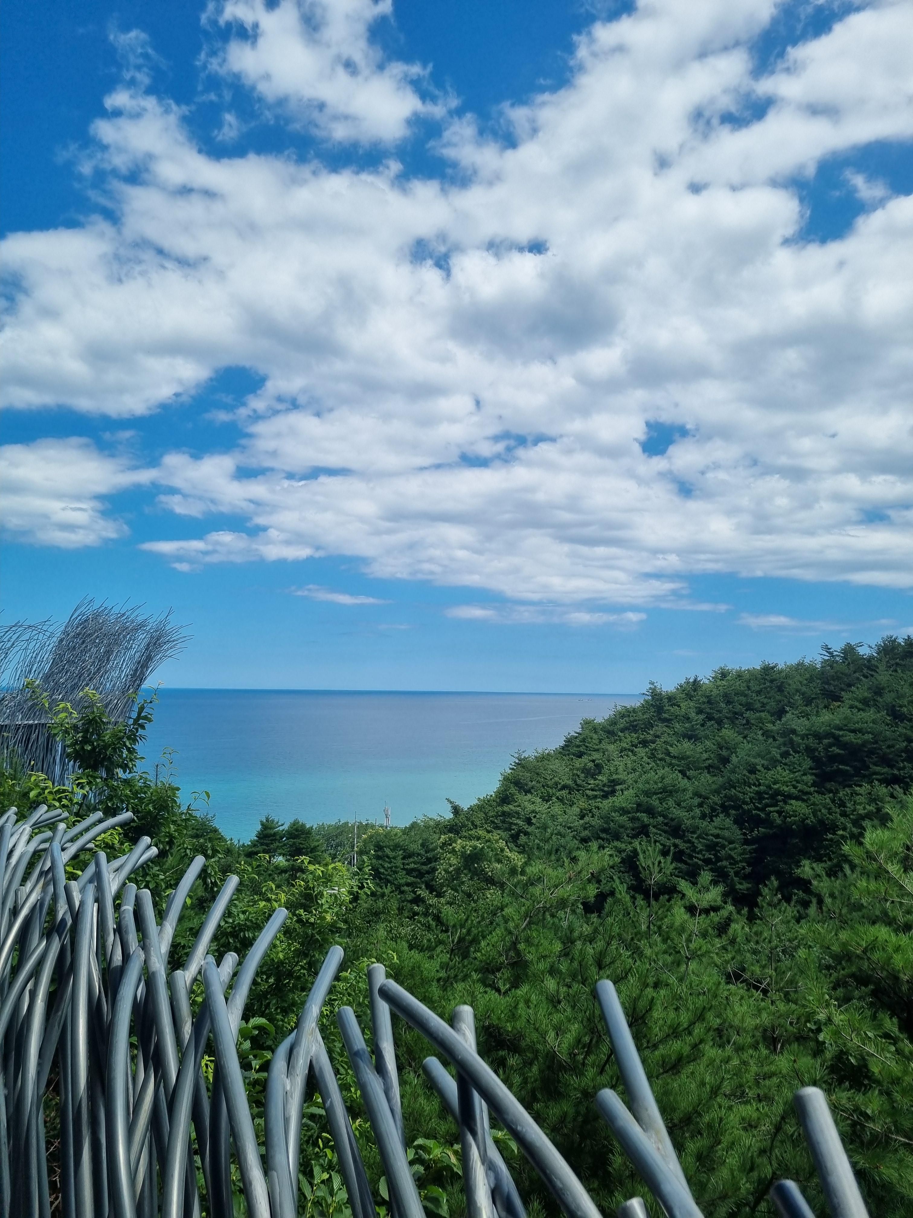 하슬라아트월드