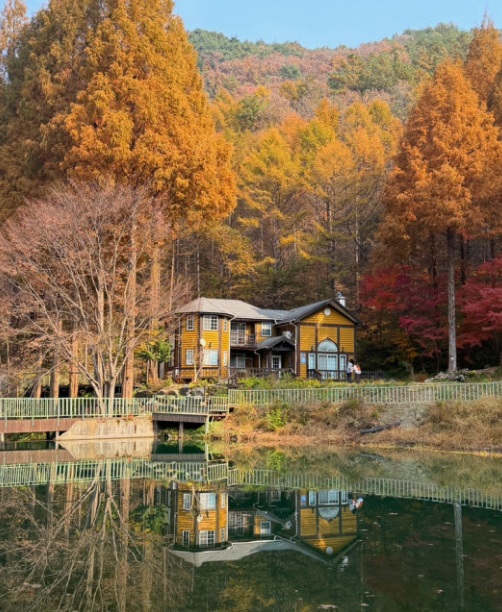 생활의달인-휴양림-덕후