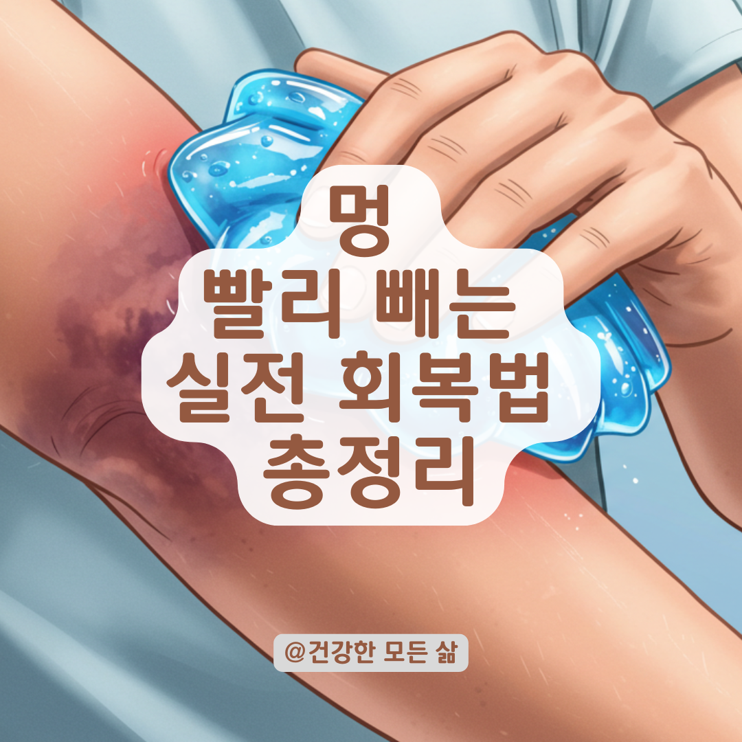멍 빨리 빼고 싶다면? 회복 속도 높이는 실전 방법 총정리.