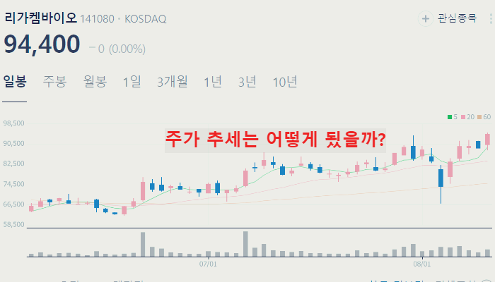 제약 바이오 관련주 대장주 TOP10 : 렉라자