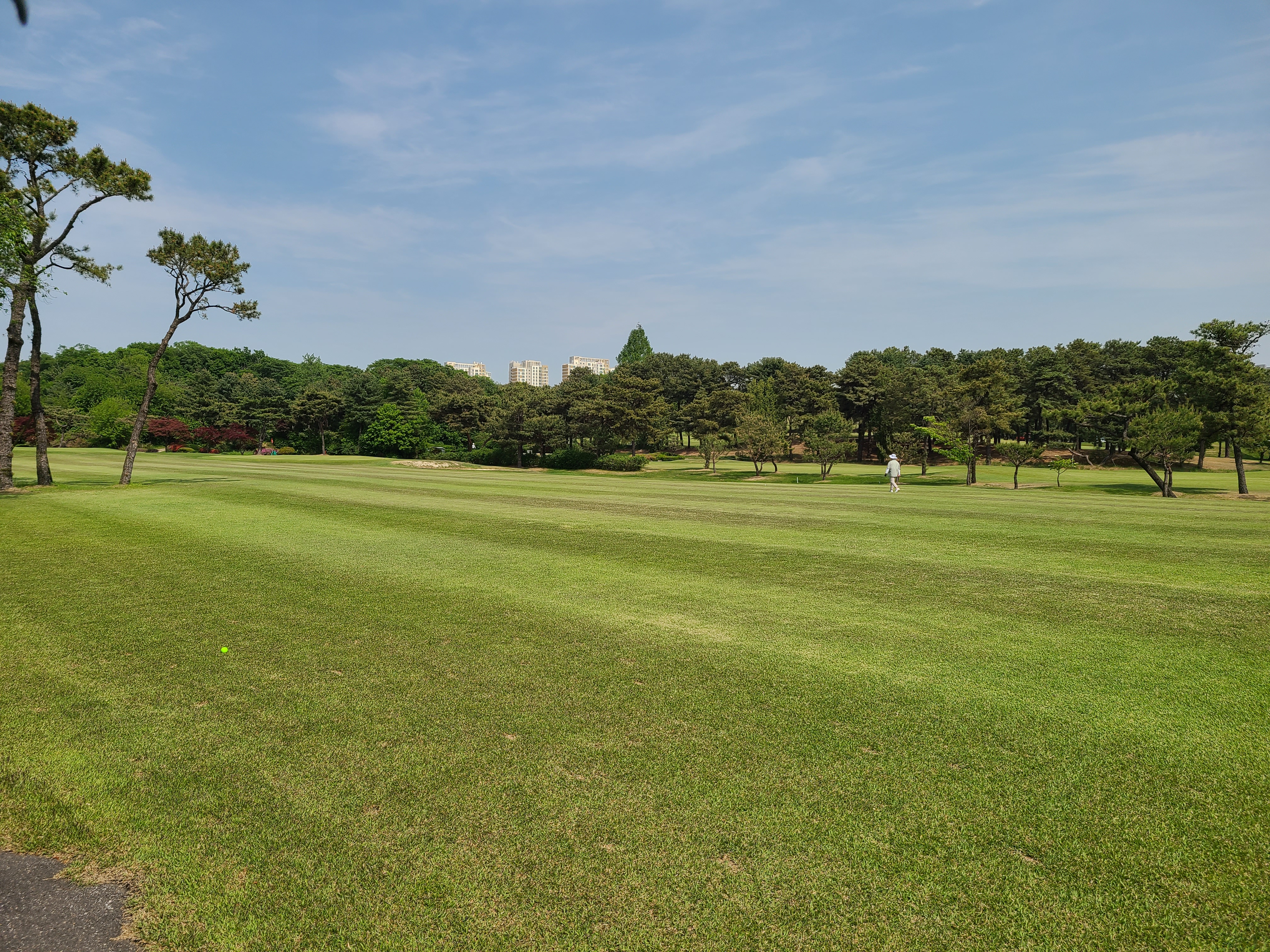 태릉골프장 페어웨이