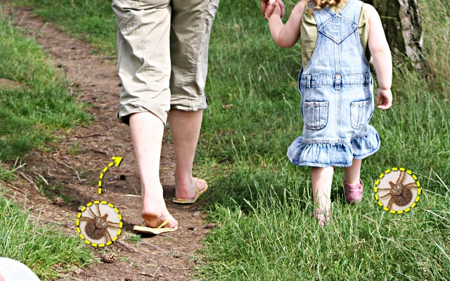 명절 성묘 쯔쯔가무시 명절증후군, 생활 팁줌 매일꿀정보