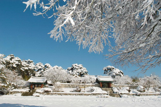 강원도 겨울 여행 명소 추천, 역사·문화·겨울 마을 BEST 4