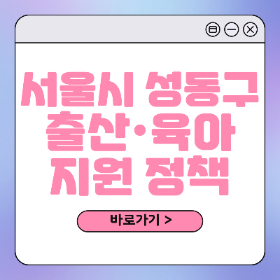 성동구 출산 육아 혜택