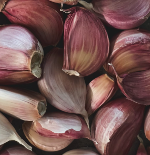 마늘 효능 효과 부작용 당뇨 혈관 건강