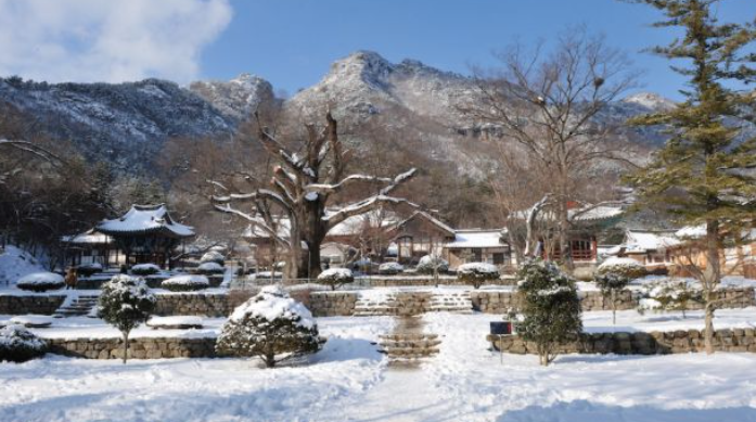 1월 전라북도 가볼만한곳 여행지 ❘ 국내 겨울 명소 추천 ❘ 전라도 ❘ 데이트 가족 실내 나들이