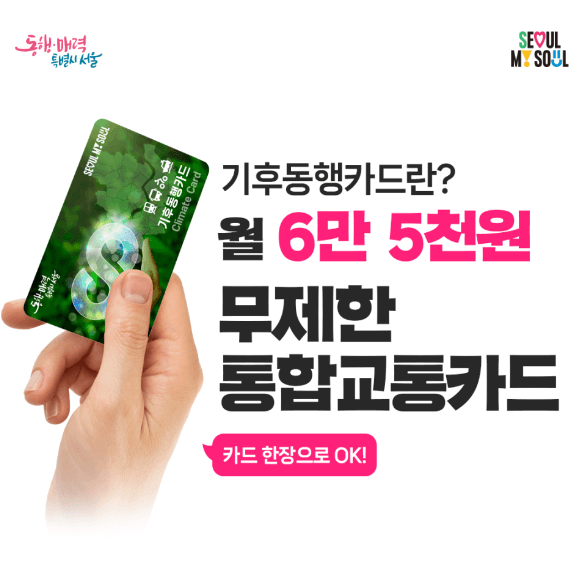 기후동행카드
