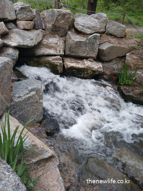 여의도 샛강생태공원 개울 입구의 물줄기, 도심 속에서도 물소리로 마음이 정화되는 서울 맨발 걷기 좋은 길