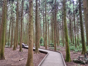 제주도 힐링코스 관련