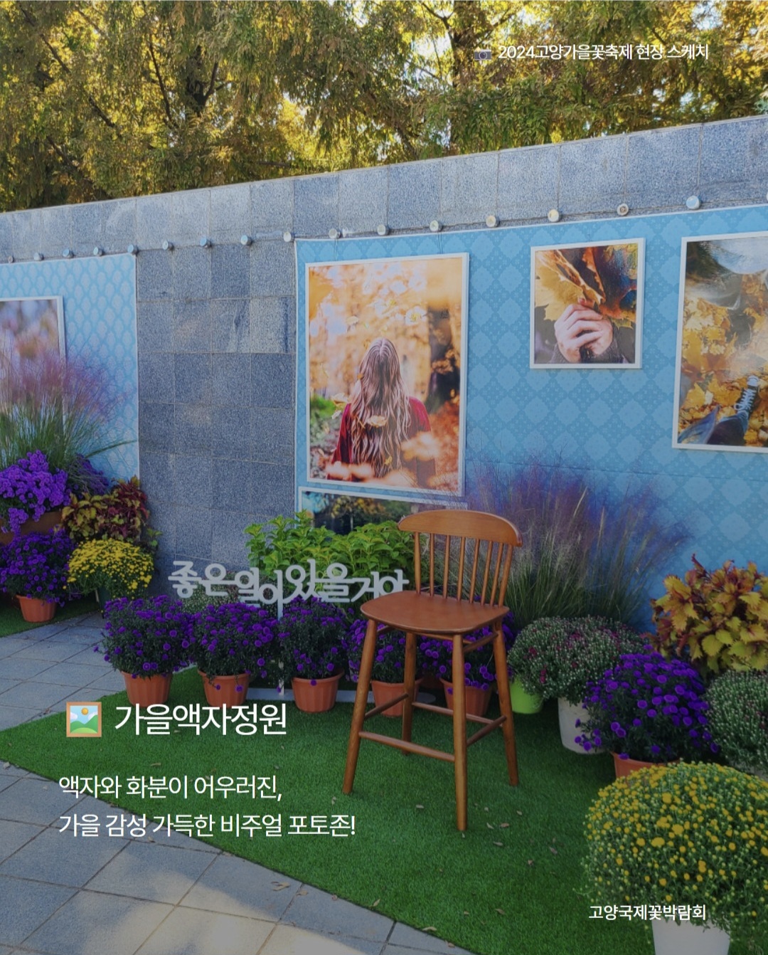 2025 고양가을꽃축제 완전 가이드 (출처: 고양가을꽃축제 공식 인스타그램)