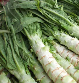 궁채 효능 부작용 나물 고르는법 칼로리