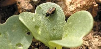 베란다 벌레 완벽 차단 방법과 여름철 실내 해충 예방 꿀팁_19