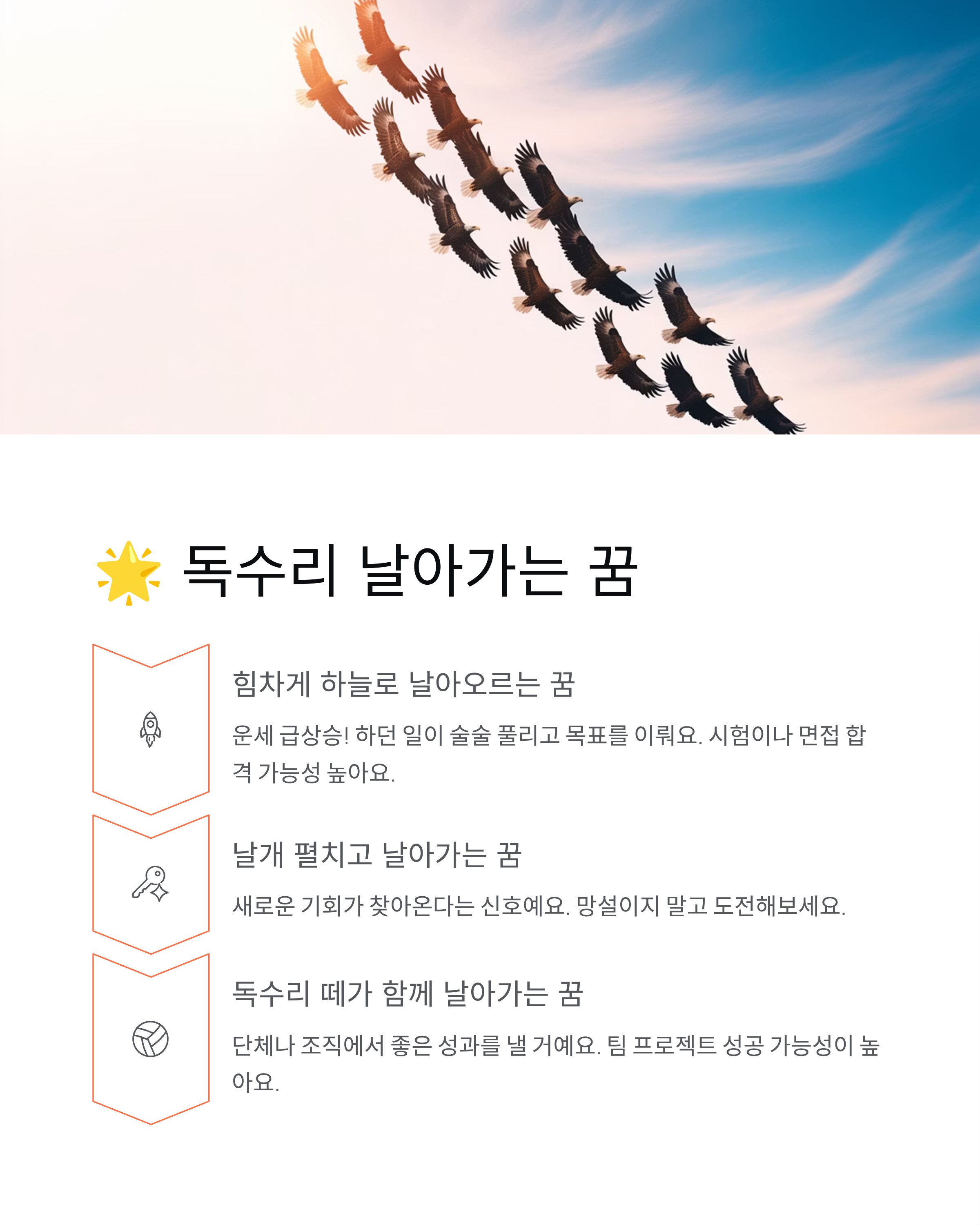 독수리꿈 해몽! 대박 길몽부터 주의해야 할 꿈까지