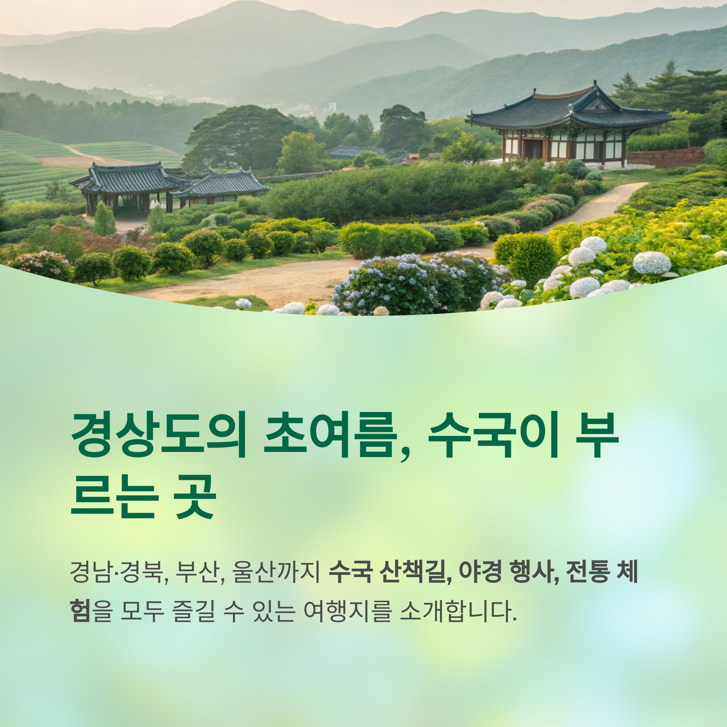 경상도의 초여름