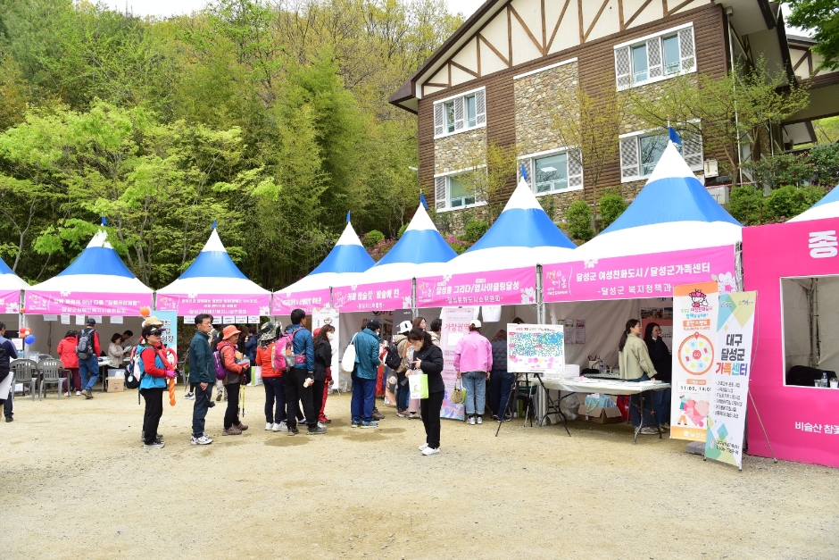 제 28회 비슬산 참꽃문화제 특징