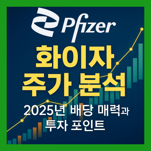 화이자 주가 분석, 배당 및 투자 포인트