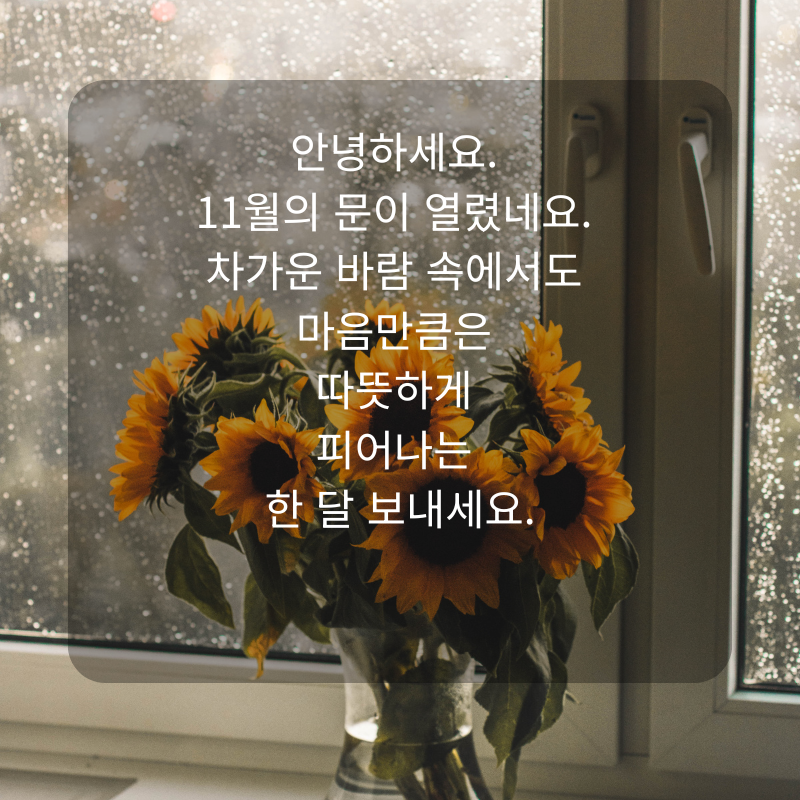 11월 인사말 문구 이미지 가을 겨울 인사글 모음집