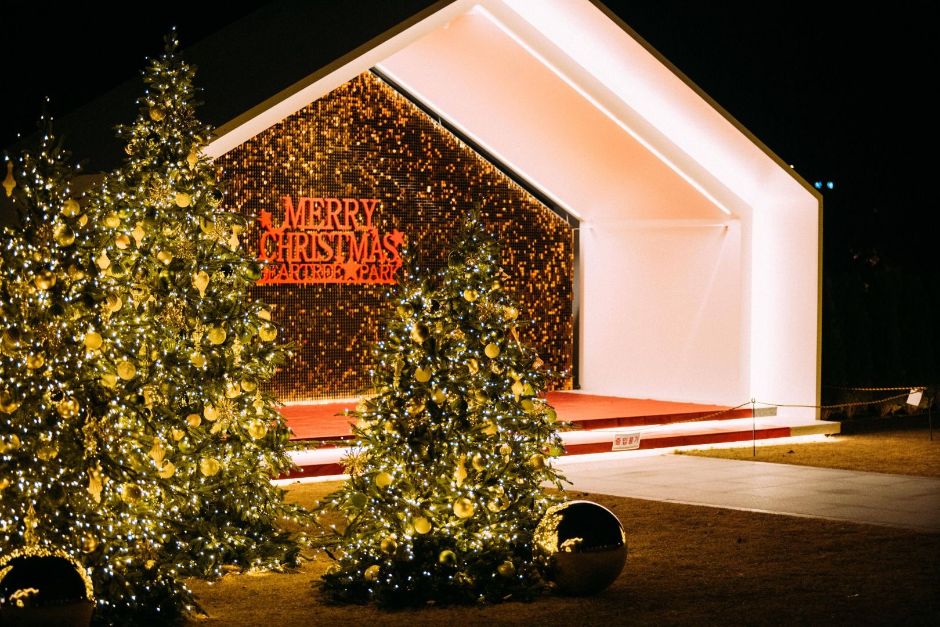 베어트리파크 크리스마스 야경 체험