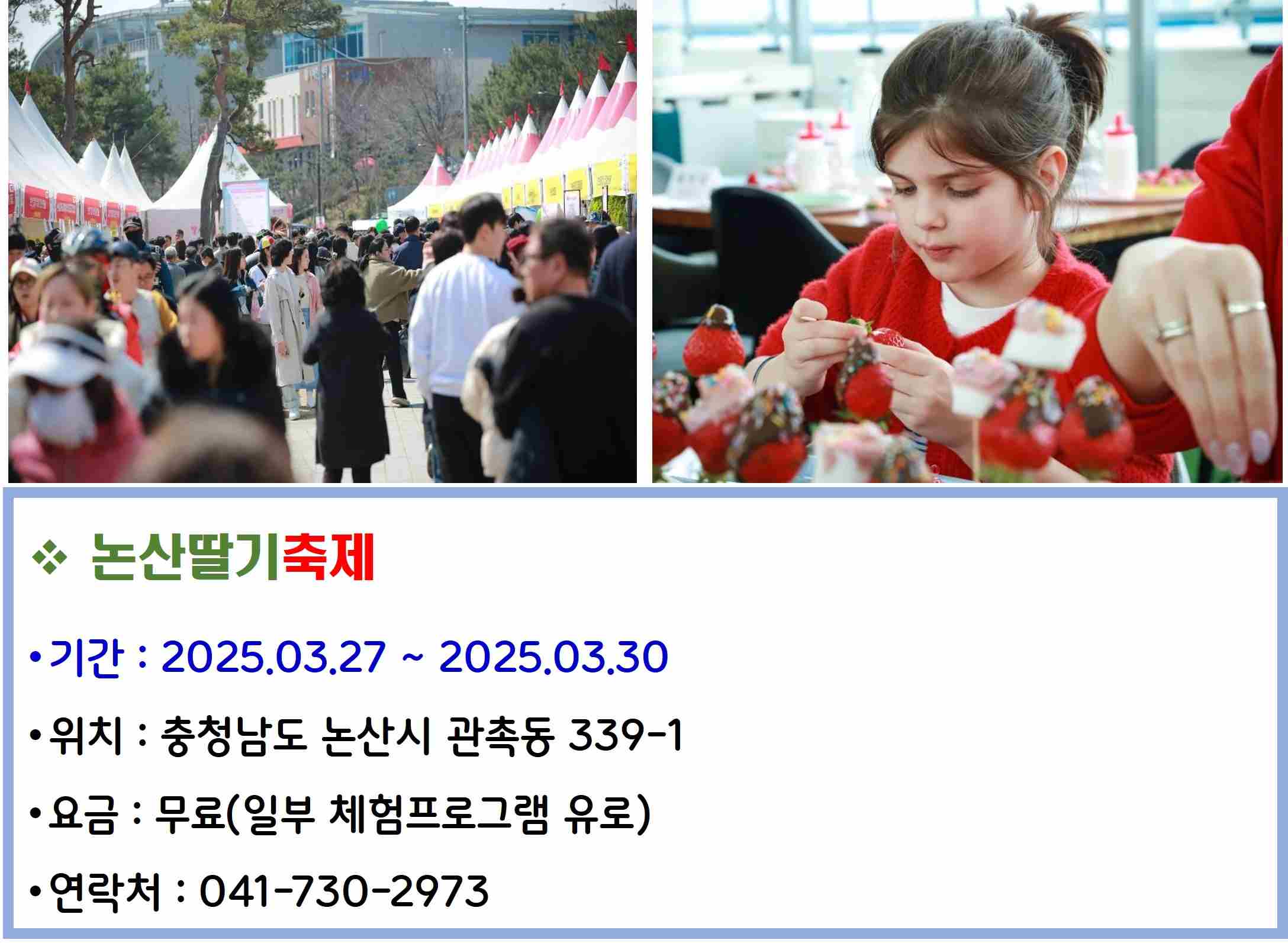 논산딸기축제