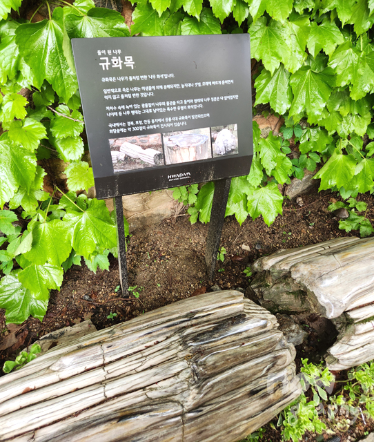 화담숲