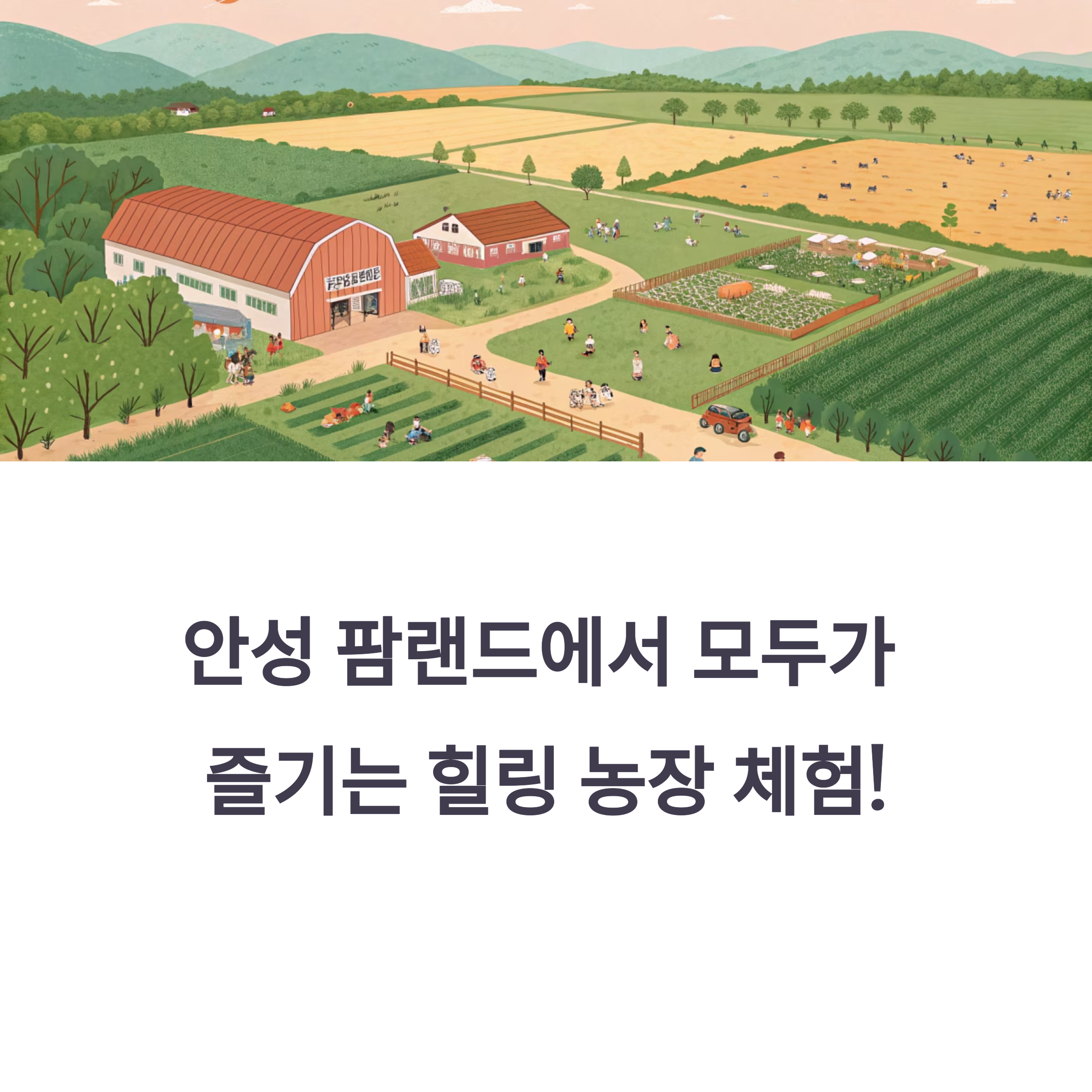 안성 팜랜드에서 만나는 하루, 가축 체험부터 승마까지