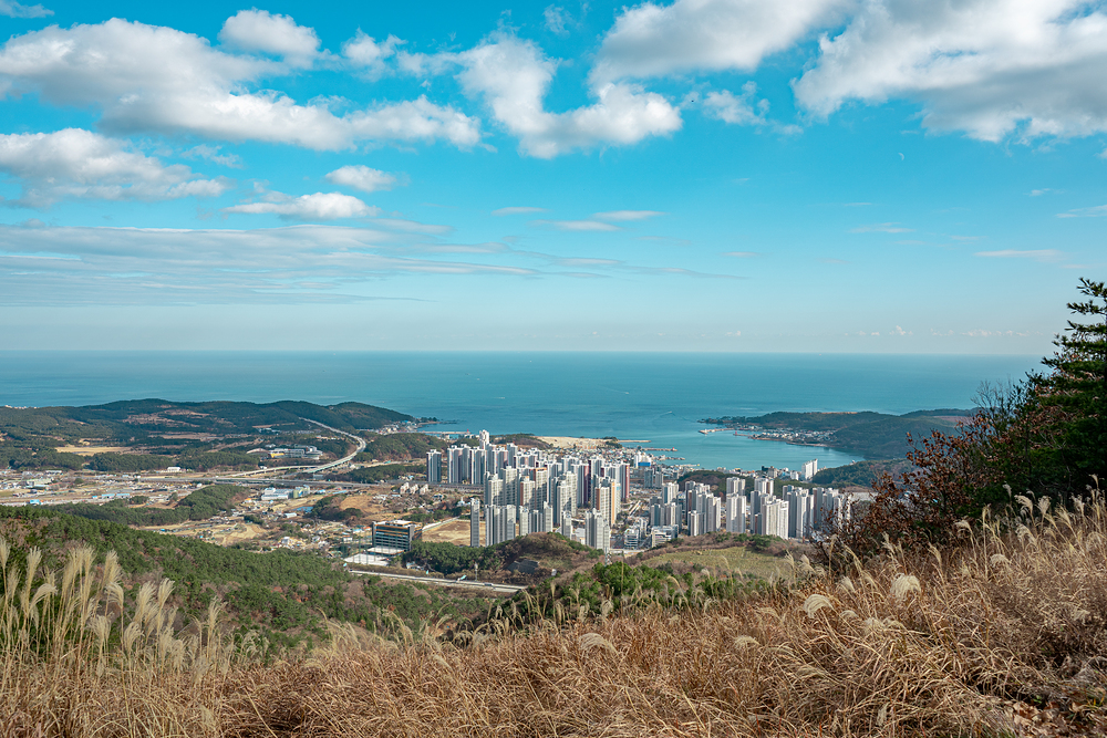 환경영향평가(Environmenal Impact Assessment, EIA)는 개발 또는 건설 프로젝트를 시행하기 전에 그 프로젝트가 주변 환경에 미치는 영향을 사전에 예측하고 평가하는 과정을 말합니다.