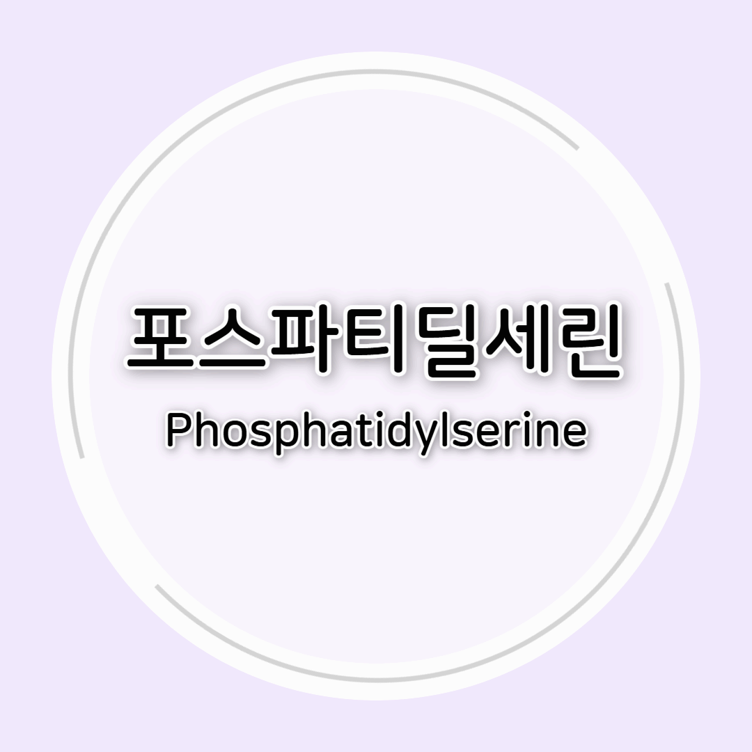 뇌 영양제 포스파티딜세린의 효능과 부작용