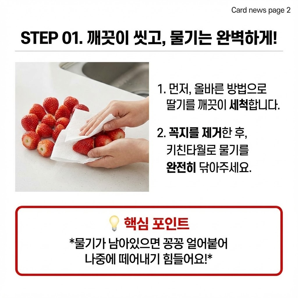 딸기보관방법