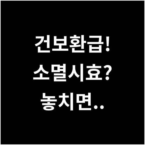 건강보험료 환급 신청 방법과 놓치면 ..